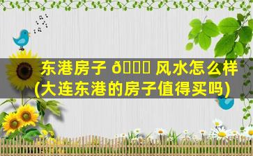 东港房子 🐋 风水怎么样(大连东港的房子值得买吗)